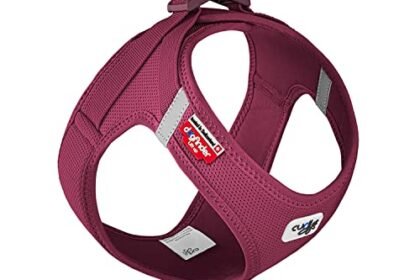 Beste Hundegeschenke